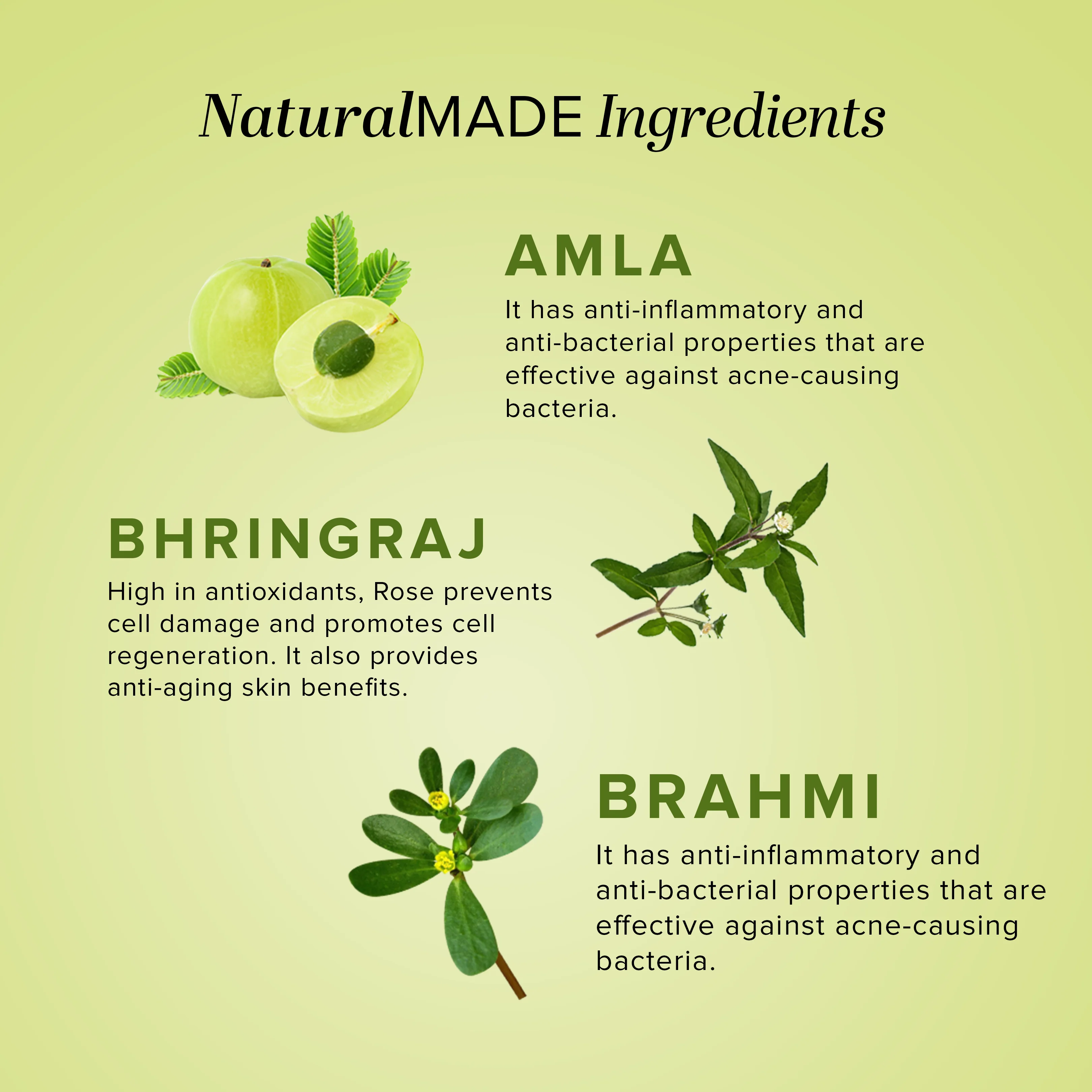 Khadi Natural Amla Hair Care Pack - 210ml Each - Image 3