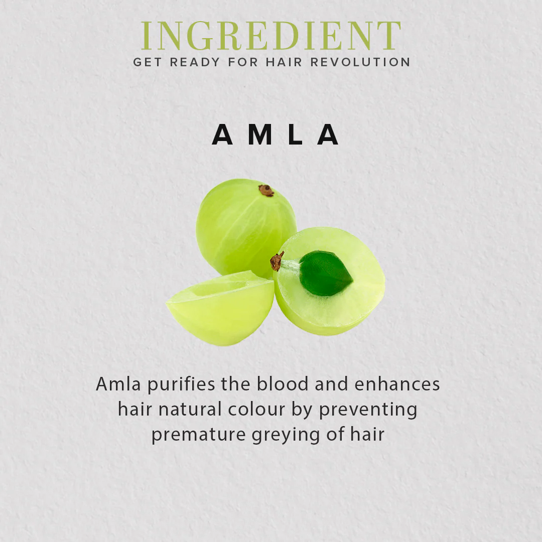 Khadi Natural Organic Amla Fruit Powder For Hair Care - 100% Natural - 100gm - Image 3