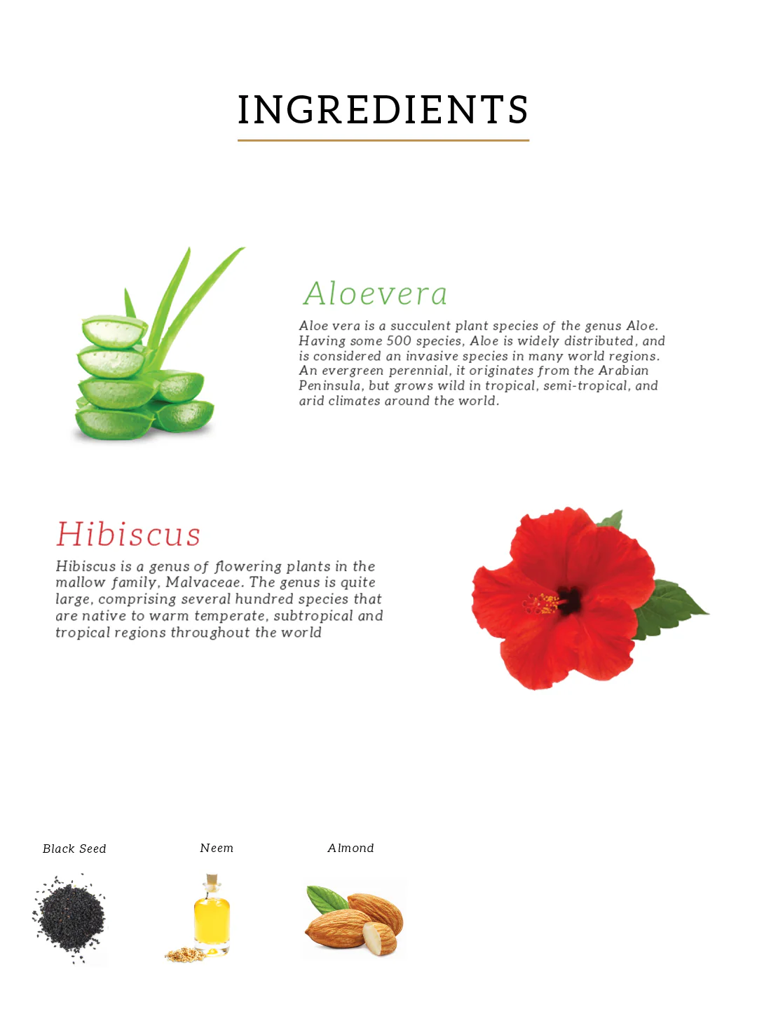 Khadi Natural Hibiscus & Aloe Vera Hair Oil - Mineral Oil, Silicones, Synthetic Fragrance Free - 200ml - Image 4