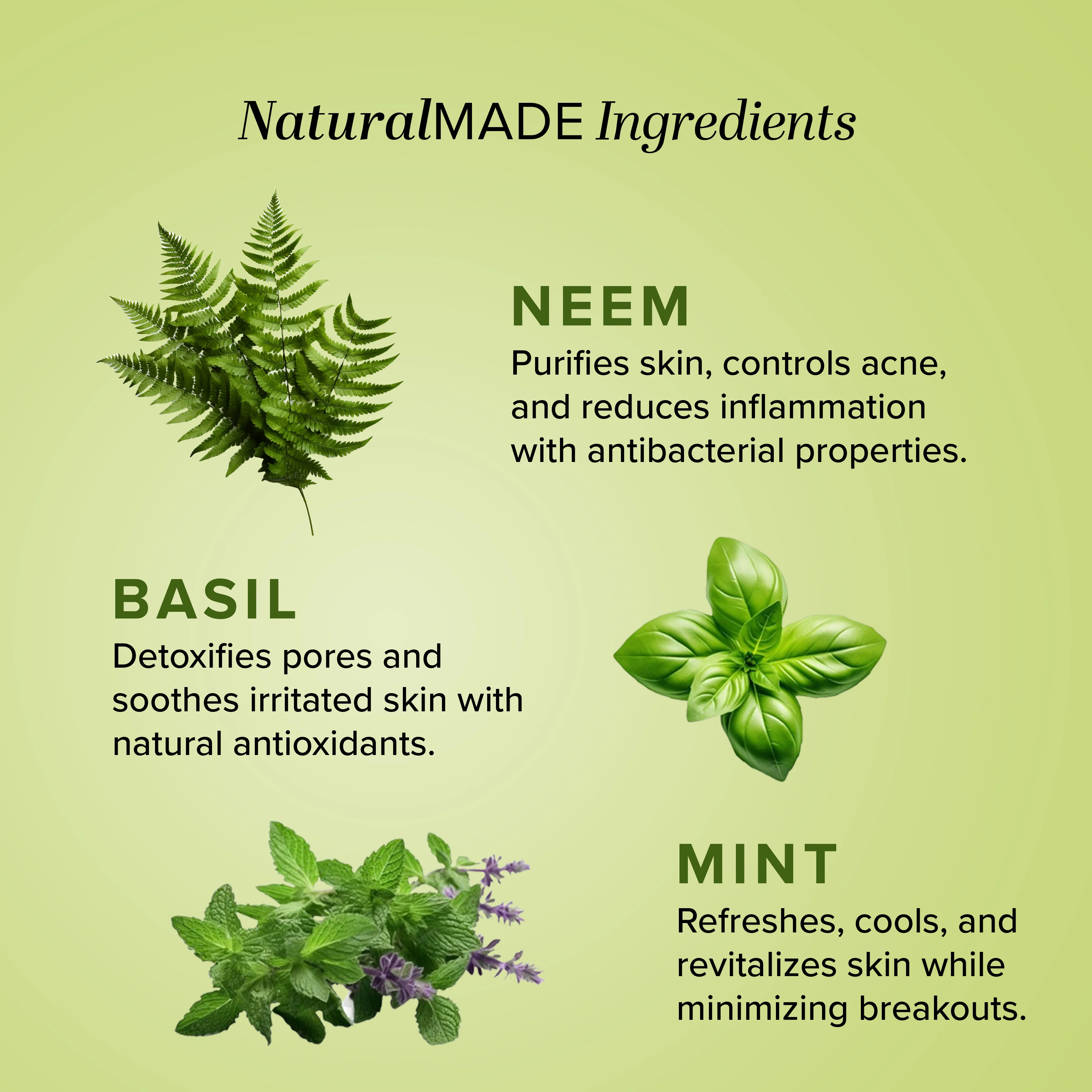Khadi Natural Neem, Basil & Mint Face Pack - 100gm - Image 3