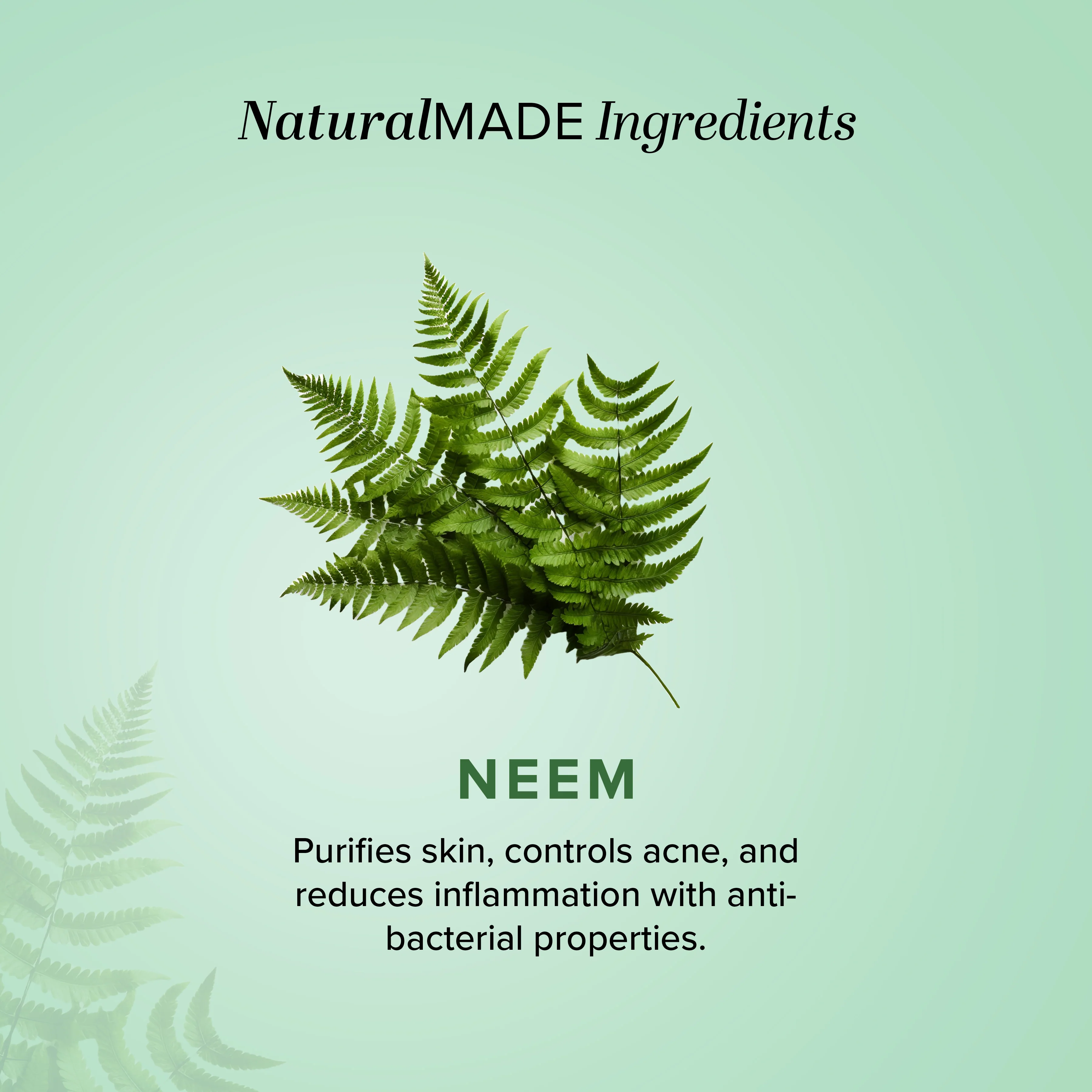 Khadi Natural Neem Tulsi Face Pack - 100gm - Image 3