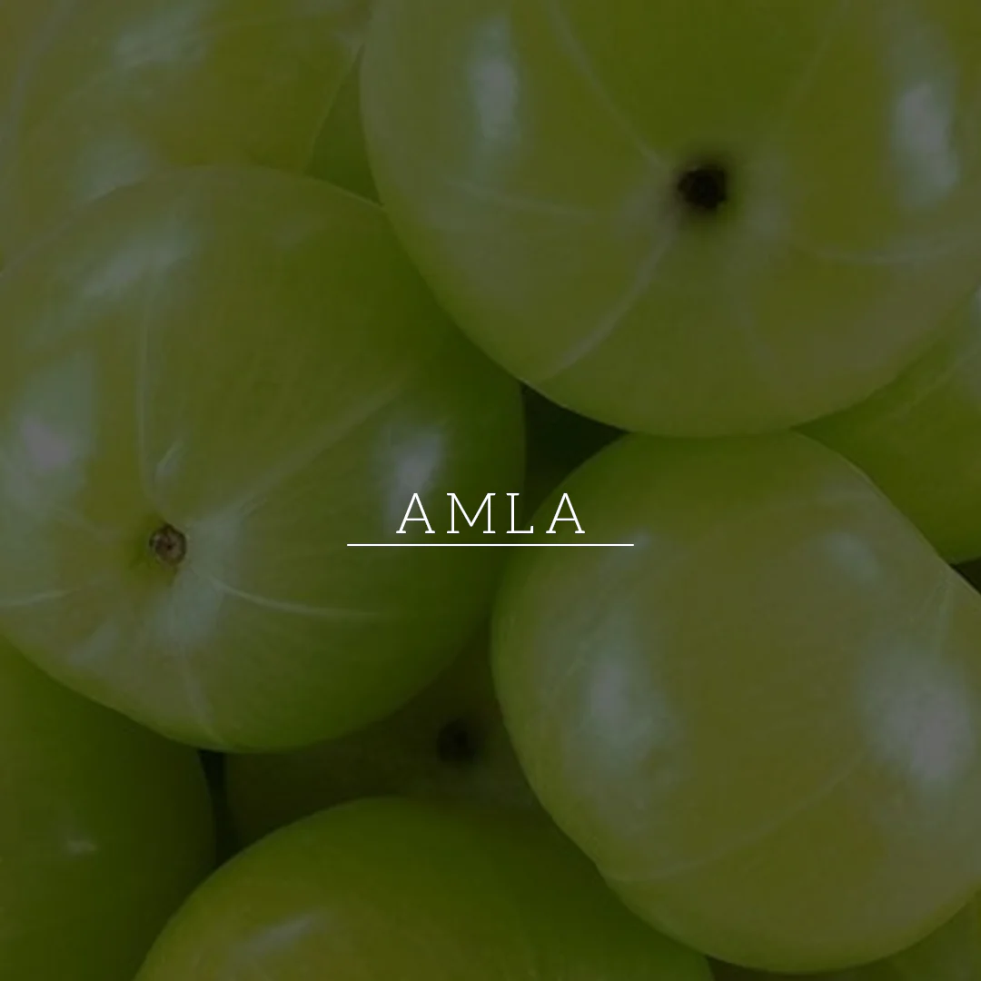 Khadi Natural Amla & Bhringraj Hair Cleanser - SLS, Parabens, Color, Salt & Artificial Fragrance Free - 310ml - Image 5