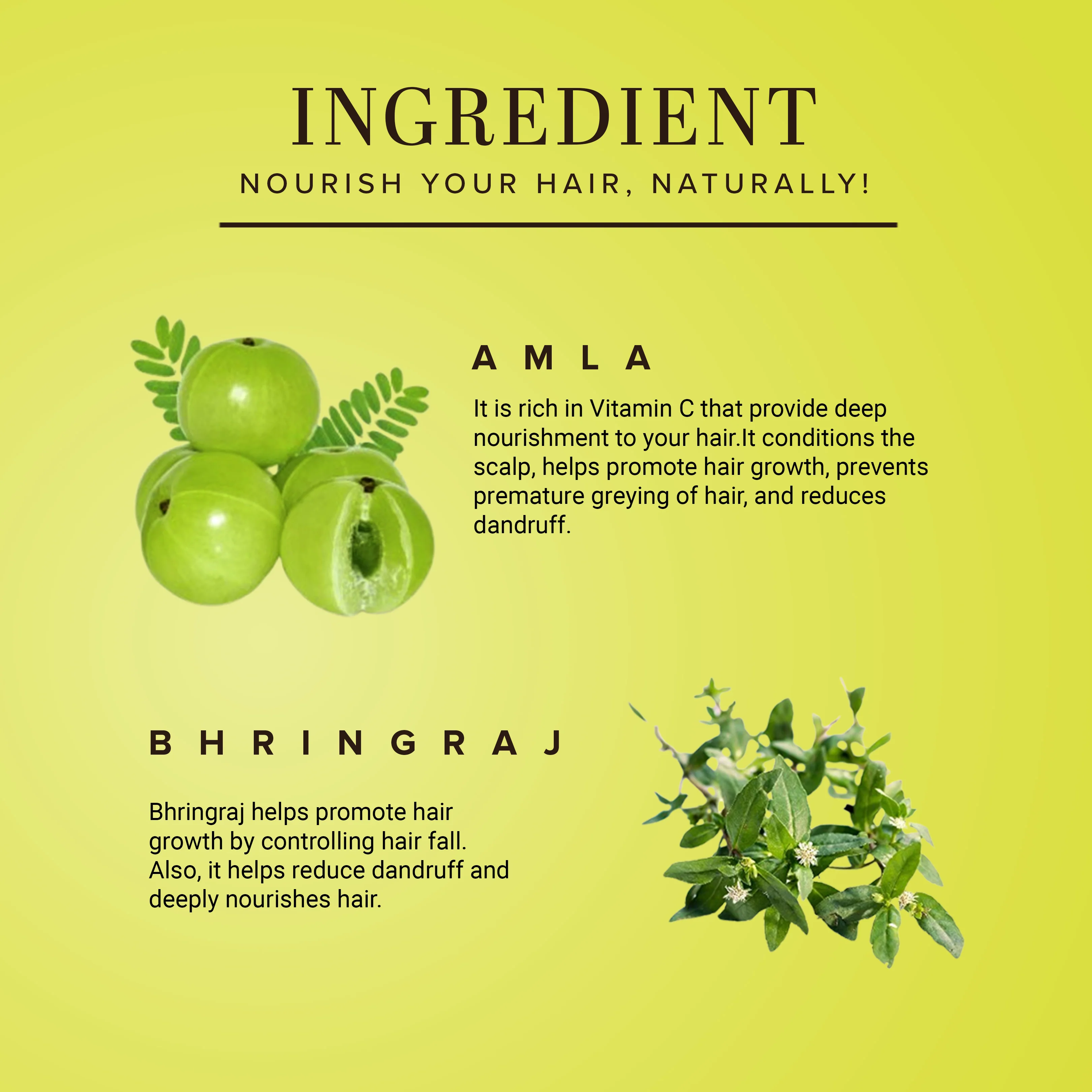 Khadi Natural Amla & Bhringraj Hair Conditioner - Paraben, Silicones, Sulphate, Color, Salt & Artificial Fragrance Free - 310ml - Image 3