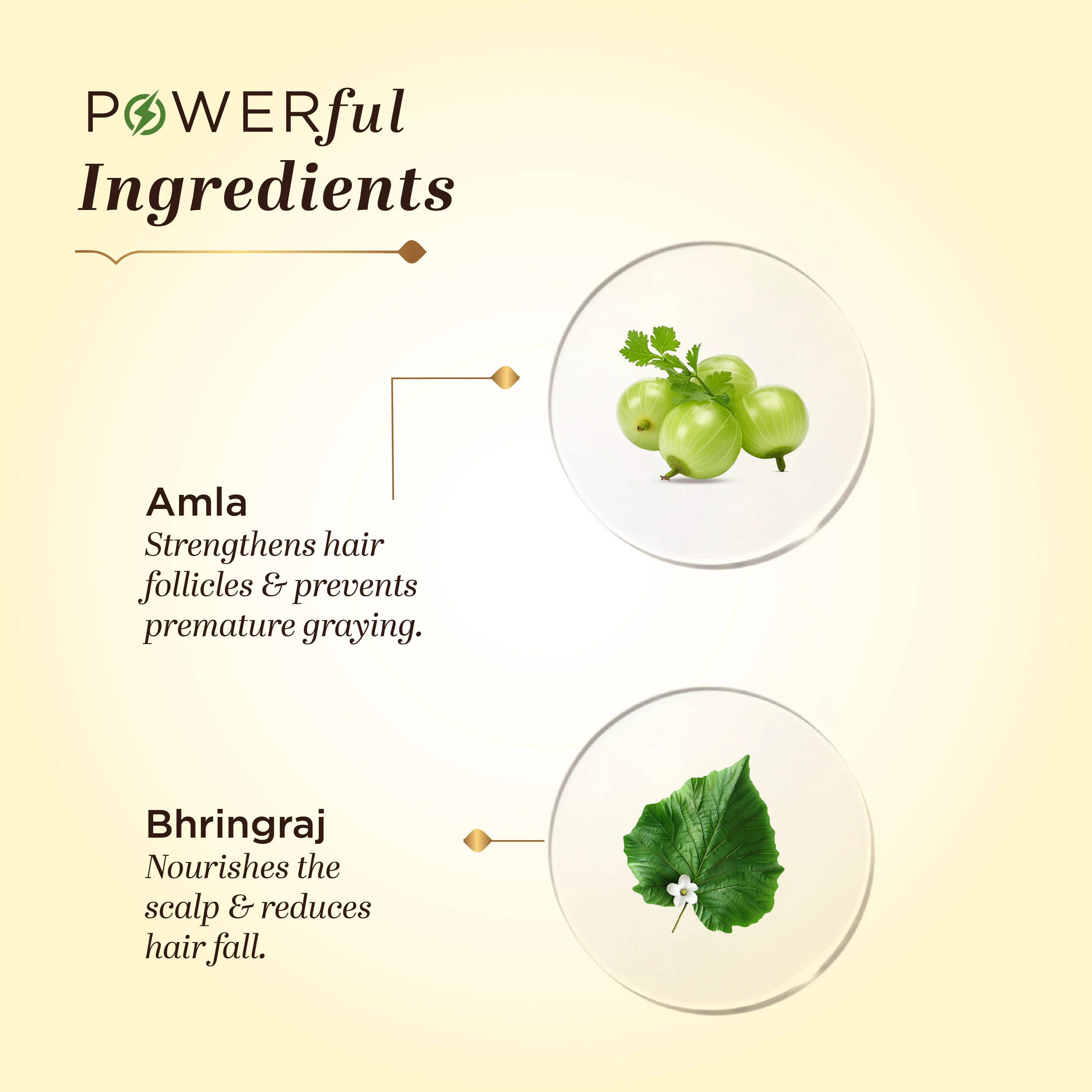 Khadi Natural  Amla & Bhringraj Hair Care Cleanser, Conditioner & Oil – SLS & Paraben Free Combo Pack of 3 - 210ml Each - Image 3